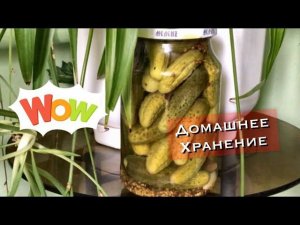 Самые вкусные маринованные огурцы! Хранятся в комнате!