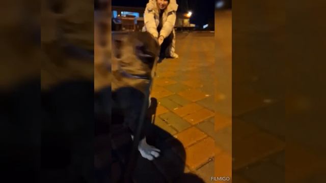 Долгой и счастливой жизни тебе, малыш. Мальчик уехал домой смотреть онлайн