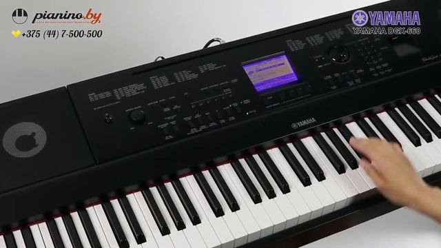 Пианино Casio Privia PX-5S vs Yamaha DGX 660 смотреть онлайн