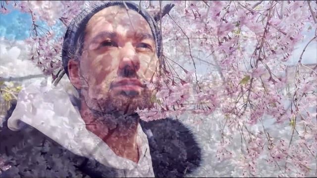 Richard Clayderman ~ Mariage D'amour (Paule de Senneville) смотреть онлайн