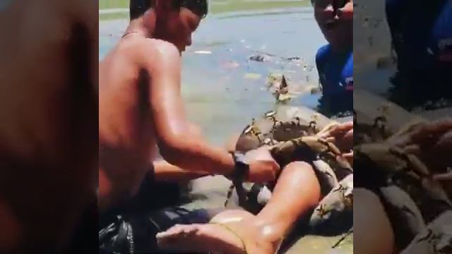 Охота на анаконда