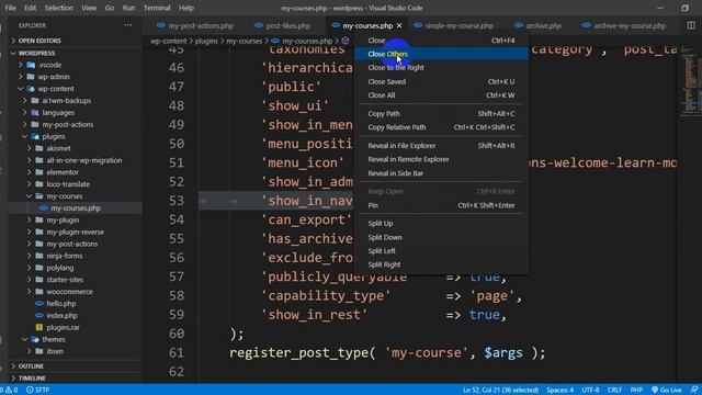 Session 18 Custom Post Type and Taxonomy смотреть онлайн