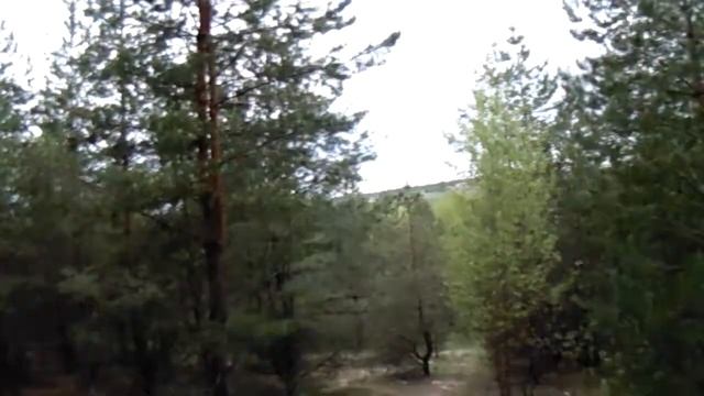 Собираем маслята смотреть онлайн