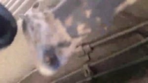 Ремонт глушителя Ока Ваз 1111