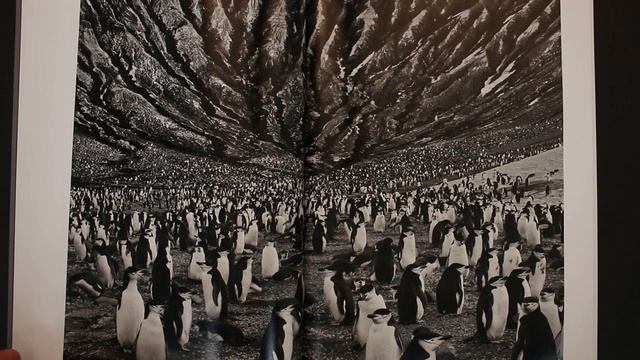 #128 CAMERA book review: Genesis by Sebastião Salgado смотреть онлайн