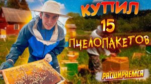 КУПИЛ 15 ПЧЕЛОПАКЕТОВ_ПЧЕЛОВОДСТВО С НУЛЯ_РАСШИРЯЕМСЯ