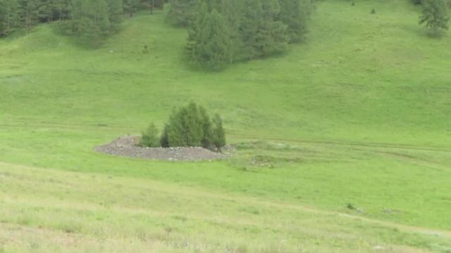 Пазырыкские курганы Горный Алтай смотреть онлайн