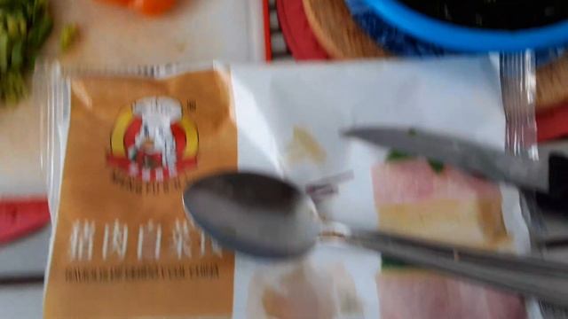 Обед побыстрому. Щи с Равиоли, или пельмени с морской капустой/Ламинарией. Париж/Soupe Aux Raviolis