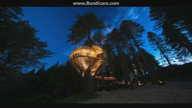 Топ 8 необычных ресторанов смотреть онлайн