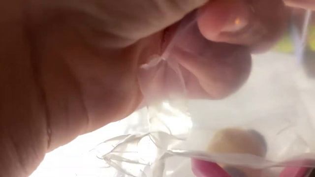 Game on| Smooshy Mushy Minis Video смотреть онлайн