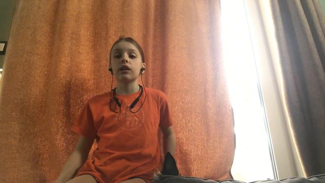 Всё о породе Бостонский терьер| Бостон терьер | Бостон