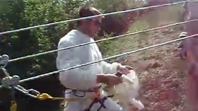 Волшебный кролик. Старт. Start of magic rabbit on Trolley. смотреть онлайн