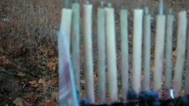Сбор ягоды - голубики смотреть онлайн