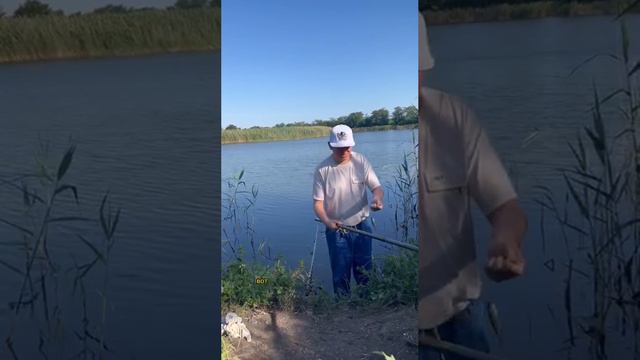 юрист #банкротство #судебныйприказ #мск #крд