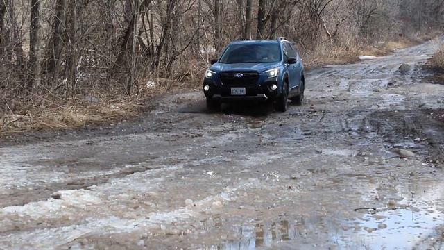 2022 Subaru Forester Wilderness | SUV Review | Driving.ca смотреть онлайн