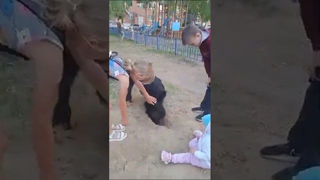 Ризеншнауцер Арчи и дети. Алекс Руссо Знатный Боярин, сын Роман-Кош Паваны от Евридики.Юрга 10.06 2 смотреть онлайн