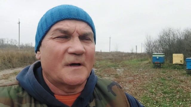 Какие пакеты купить весной, начинающему пчеловоду