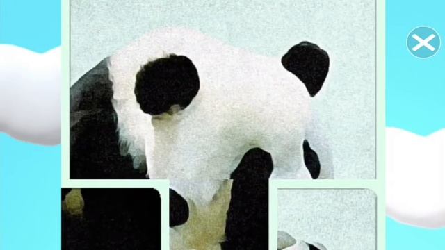 Animal Quest - Puzzle смотреть онлайн