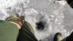 Зимняя рыбалка на гирлянду 2022