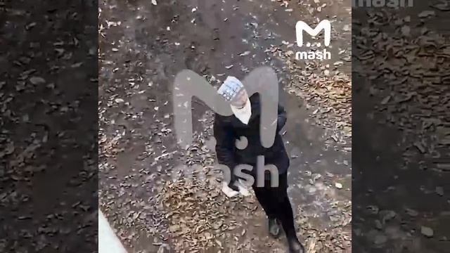 Женщина пыталась поджечь военкомат в Калининградской области. Сейчас её разыскивает полиция. смотреть онлайн