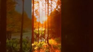 Юлия Савичева - Не смотри ты по сторонам, оставайся такой как есть.