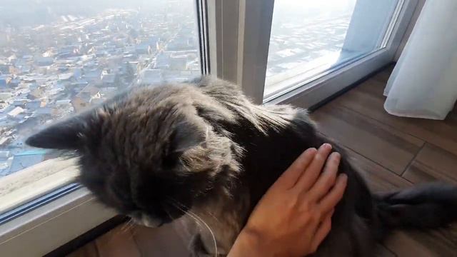 Что делать, если Рысику скучно? смотреть онлайн