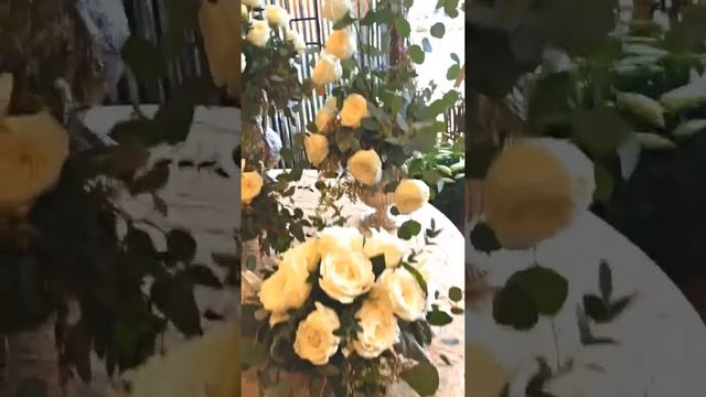 Princess Miyuki Garden rose смотреть онлайн