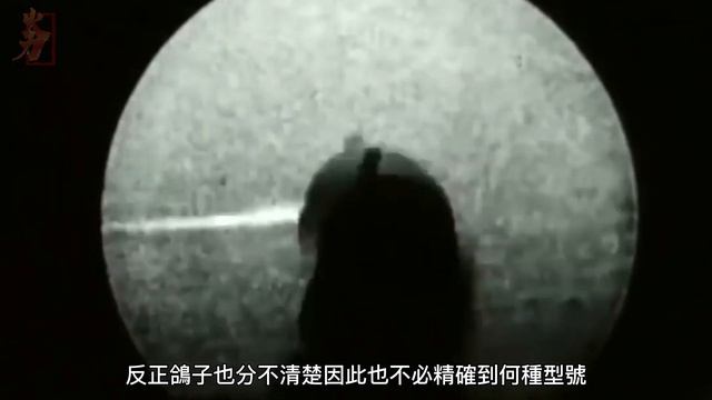 人類歷史上吃錯藥武器盤點，小動物化身武器上戰場，毛驢狗狗鴿子海豚，英國人連雞都不放過？ смотреть онлайн