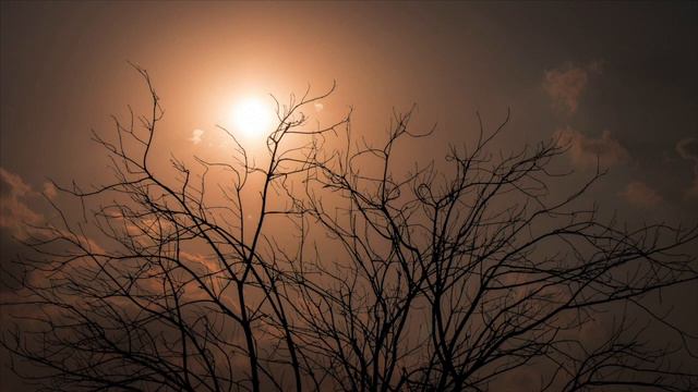 SUNRISE EXPRESS THE SOUND OF DEEP RELAXATION | REC07 смотреть онлайн