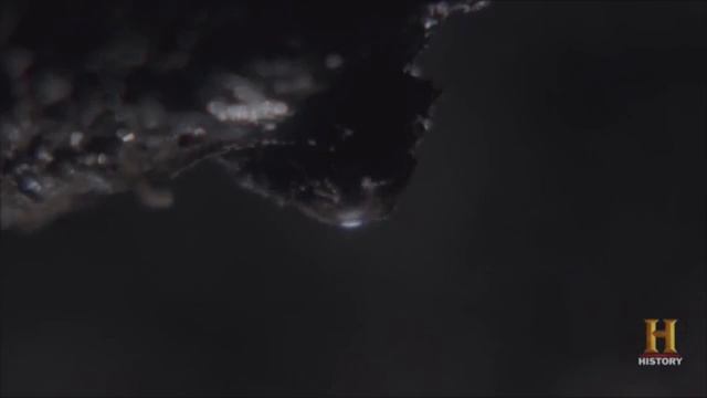 Бога древнего Египта смотреть онлайн