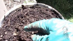 КОМПОСТНАЯ ЯМА ГОТОВА К СБОРУ ТРАВЫ С УЧАСТКА!