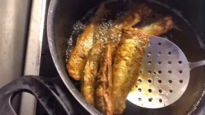 Готовим рыбу Салака