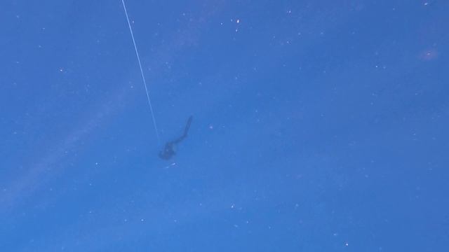 Погружение Сергея смотреть онлайн