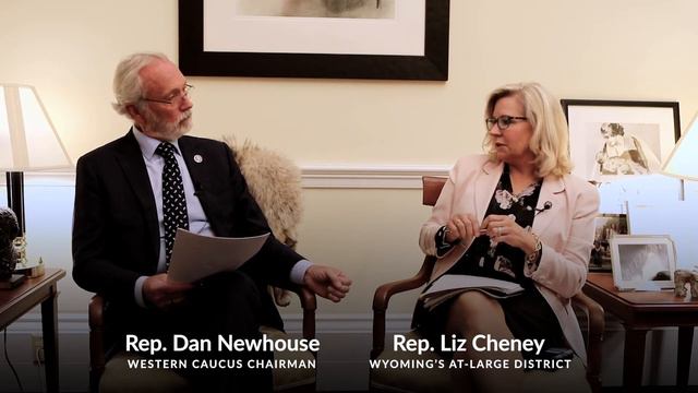 Chairman's Chat: Vice Chair Liz Cheney (WY-AL) on Grizzly Bear Recovery and the ESA смотреть онлайн