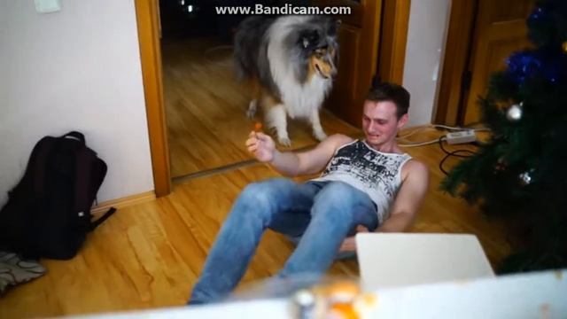 МаМиКС Бросил Вызов: СуШИ Ролы смотреть онлайн