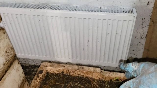 Выращивание червей на реализацию. Ящики из пеноплэкса. смотреть онлайн
