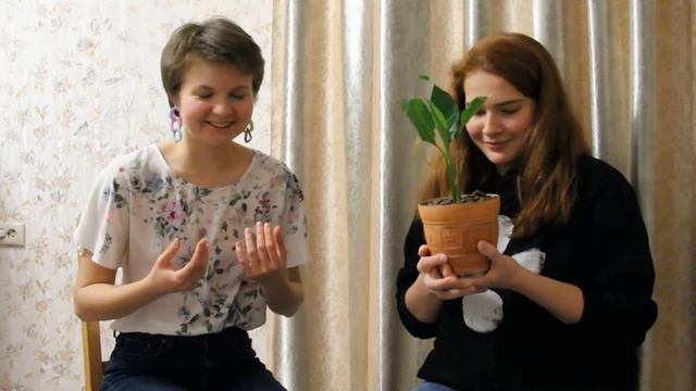 Мастерство и Качество