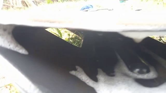 NV 350 BACK EVAPORATOR AND HEADLINER CLEANING - Operation: No down of Evaporatot смотреть онлайн