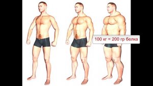 Протеин?! Что это такое и как правильно его пить!