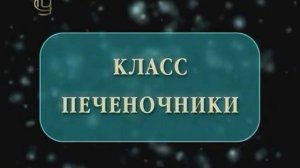 Отдел моховидные. Разнообразие моховидных. Класс печеночники