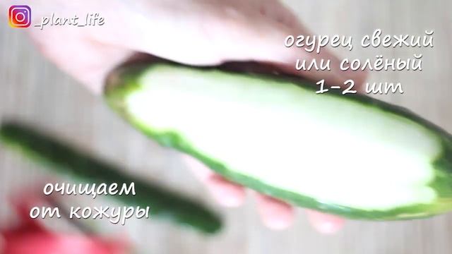 7 ВЕГАНСКИХ РЕЦЕПТОВ НА НОВОГОДНИЙ СТОЛ смотреть онлайн