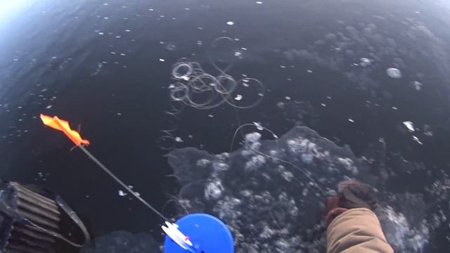 Ловля щуки на жерлицы смотреть онлайн