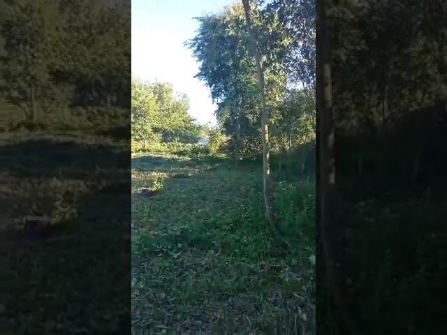 WhatsApp Video 2022 08 27 at 15 11 46 смотреть онлайн
