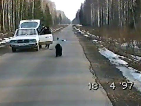 Собака Долли утянула машину (VHS) смотреть онлайн