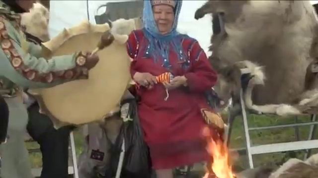 Видеопрезентация Живая русская Арктика смотреть онлайн