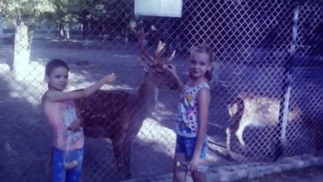 Подарок подруге///Лика TV///Лучшей подруге на свете/// смотреть онлайн