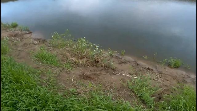 Рыбалка на донки на Протве смотреть онлайн