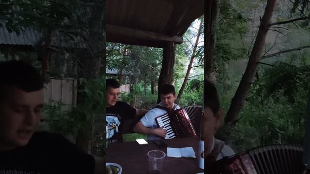 Белый лебедь на пруду смотреть онлайн