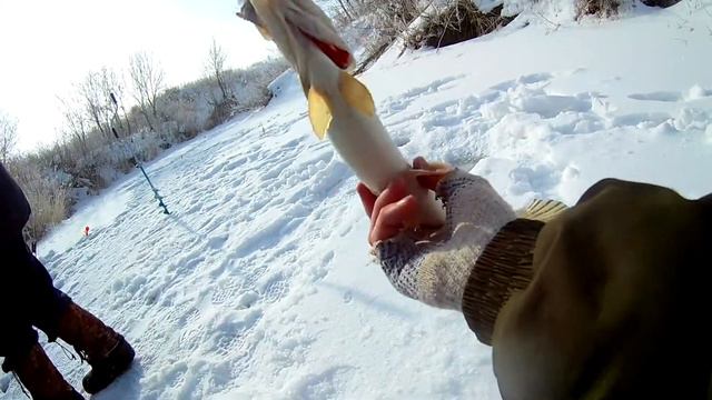 Мартовская рыбалка на щуку!!! смотреть онлайн
