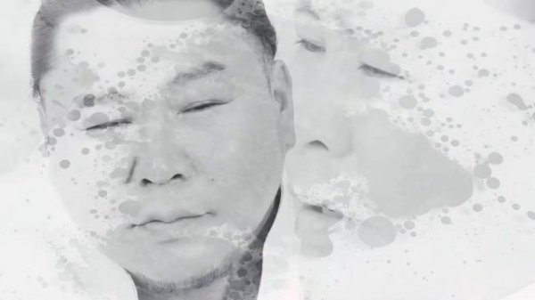 Катап келбес